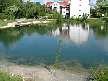 Ortsteich Buchkirchen