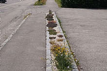 Parkplatz Buchkirchen