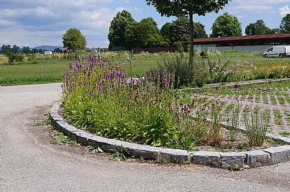 Eferding Parkplatz Freibad